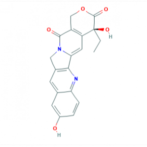 Hydroxycamptothecin