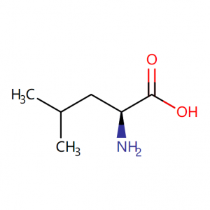 L-Leucine