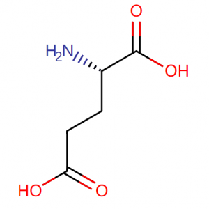 L-Glutamic Acid Base