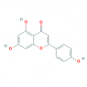 Apigenin