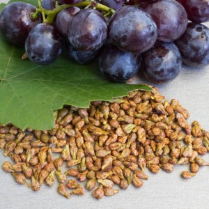 Grape seed extract