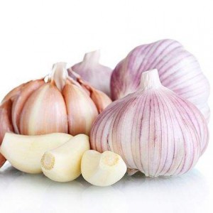 Garlic Extract