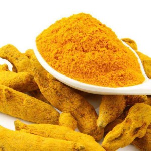 Turmeric Extract