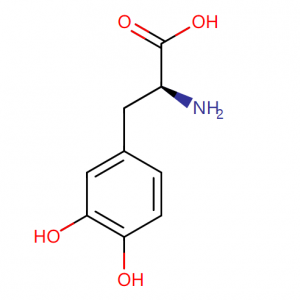 L-dopa