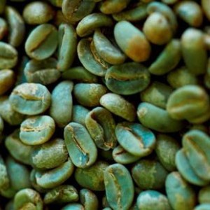 Green coffee bean extract