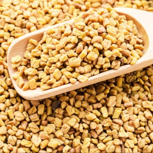 Fenugreek Seed Extract